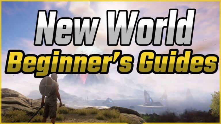 Beginner’s Guide to New World